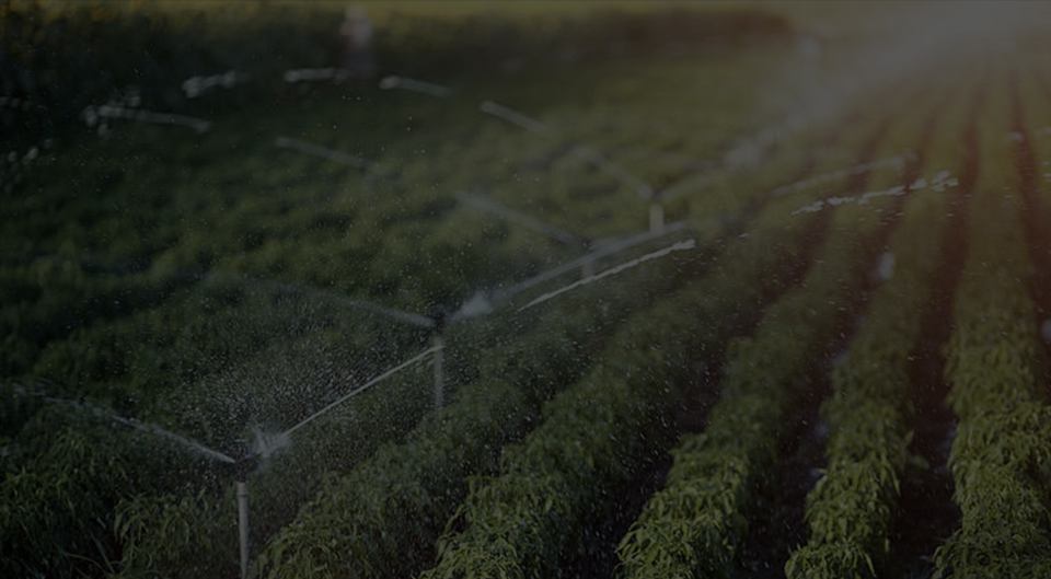 ¿A qué debo prestar atención al comprar una bomba de agua pulverizadora?