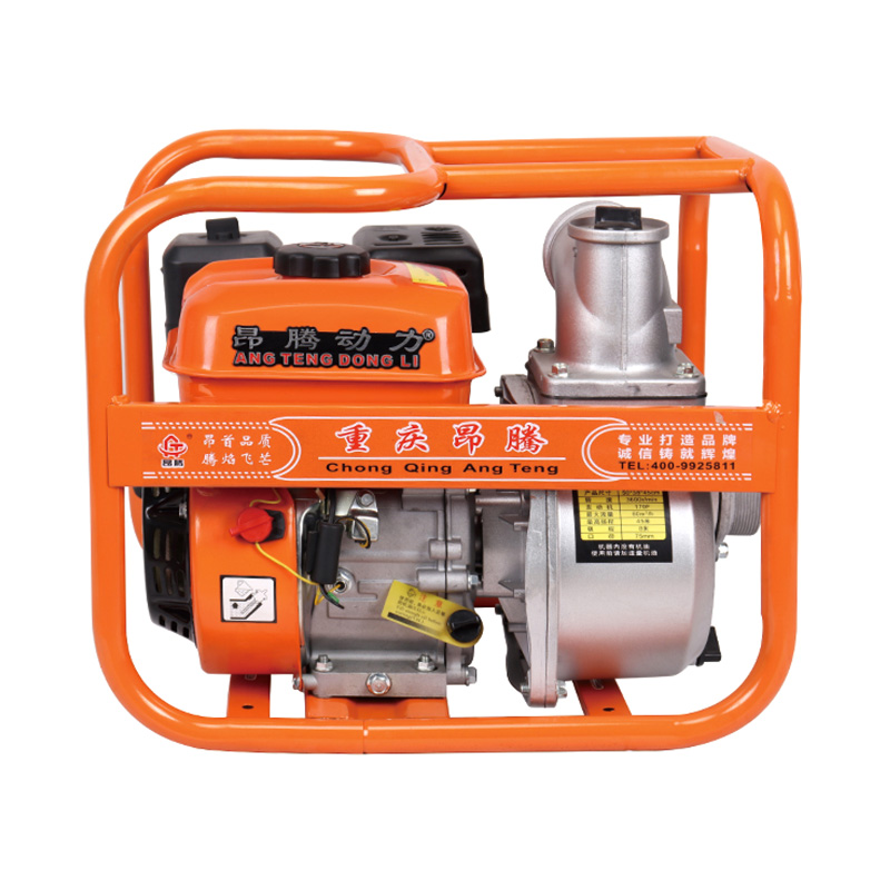 Bomba de agua de gasolina agrícola con motor 170F