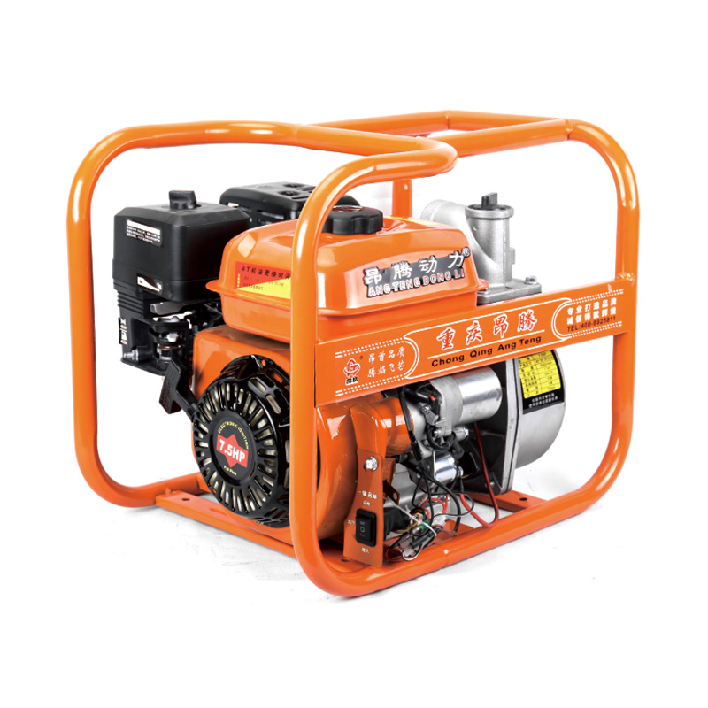 Bomba de agua de gasolina agrícola con motor 170F