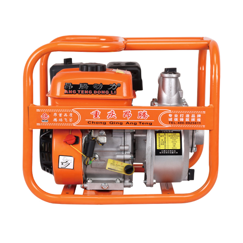 Bomba de agua de gasolina agrícola con motor 170F