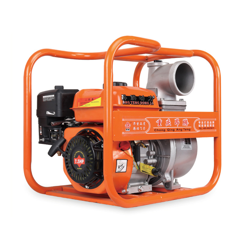 Bomba de agua de gasolina agrícola con motor 170F