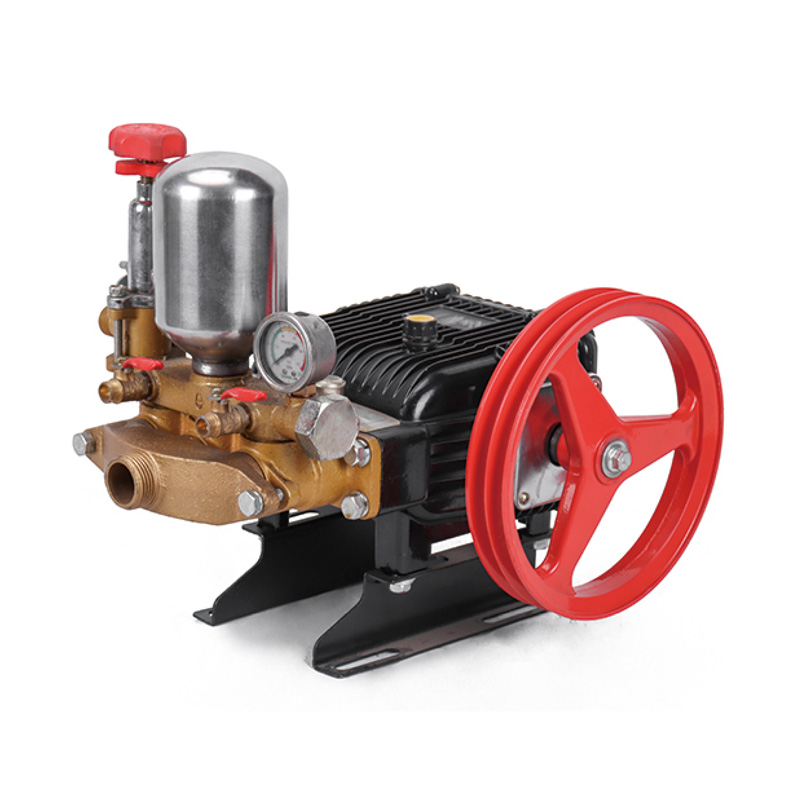 Problemas comunes de la unidad pulverizadora eléctrica de gasolina, consejos para solucionar problemas y soluciones prácticas