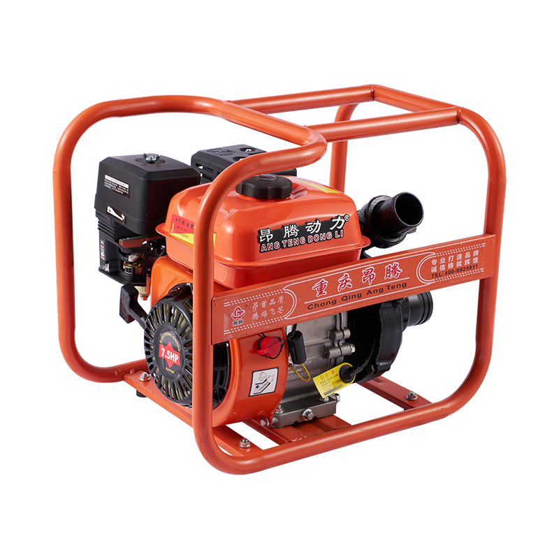 Bomba de agua de gasolina de hierro fundido con marco abierto