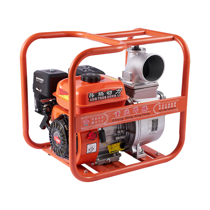 Bomba de agua de gasolina agrícola con motor 170F