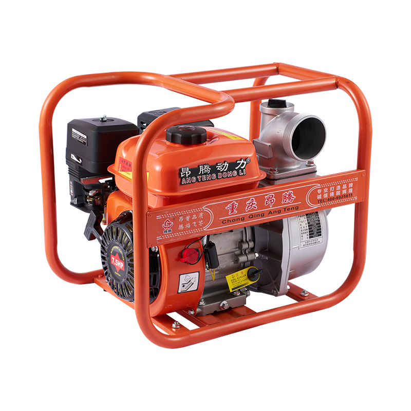 Bomba de agua de gasolina agrícola con motor 170F