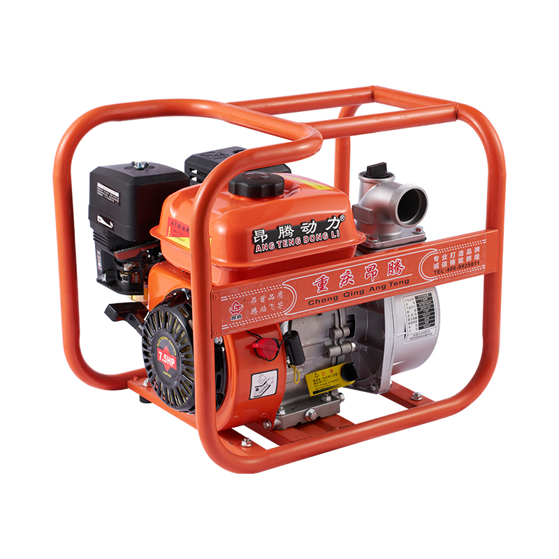 Bomba de agua de gasolina agrícola con motor 170F
