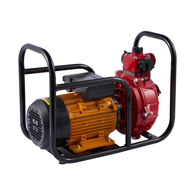 Bomba de agua eléctrica de gran flujo con doble impulsor para riego