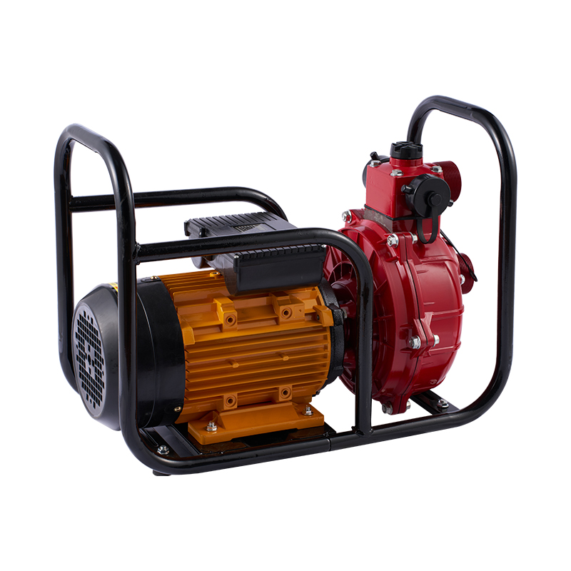 Bomba de agua eléctrica de gran flujo con doble impulsor para riego